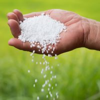 fertilizer_urea